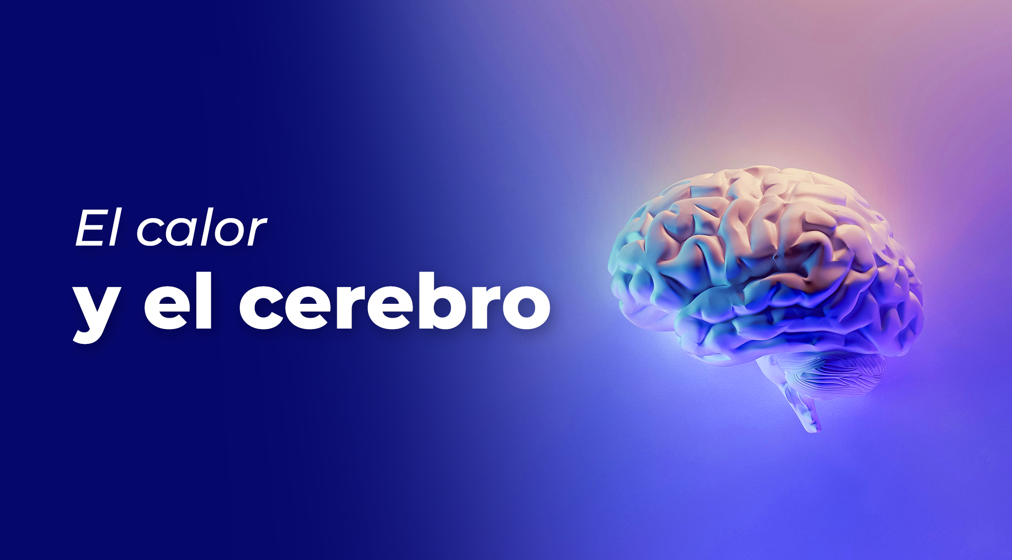 Ilustración de un cerebro sobre el efecto del calor en el aprendizaje